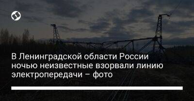 В Ленинградской области России ночью неизвестные взорвали линию электропередачи – фото