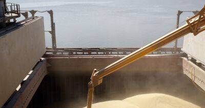 Эмбарго на зерно для стран ЕС: Восточная Европа угрожает экономике Украины, – СМИ