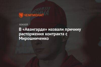 В «Авангарде» назвали причину расторжения контракта с Мирошниченко