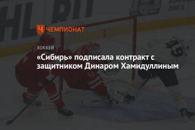 «Сибирь» подписала контракт с защитником Динаром Хамидуллиным