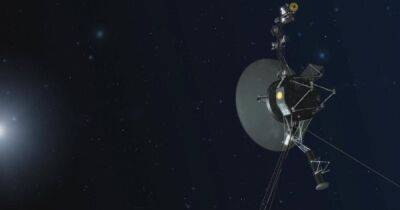 Аппараты "Вояджер" давно отправляют сигналы в космос: когда придет ответ от внеземного разума