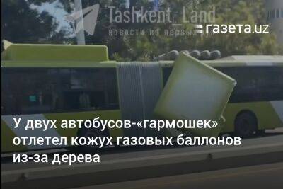 У двух автобусов-«гармошек» в Ташкенте отлетел кожух газовых баллонов из-за дерева