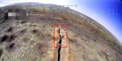 Троих одним ударом: Стерненко показал чрезвычайно эффективное применение ВСУ дрона-камикадзе — видео