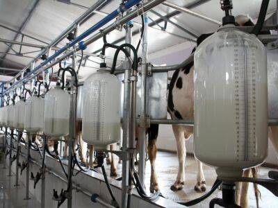 Союз молочных предприятий Украины: Запрет поставок украинских молочных продуктов в Польшу и ряд других европейских стран необходимо отменить - gordonua.com - Украина - Польша - Торговля