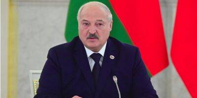 Проболтался? Почему Лукашенко назвал Гомельскую и Брестскую области прифронтовыми — белорусский журналист