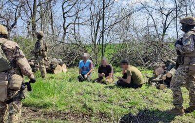 В Днепропетровской области "черные" лесорубы вырубили леса почти на 2 млн гривен