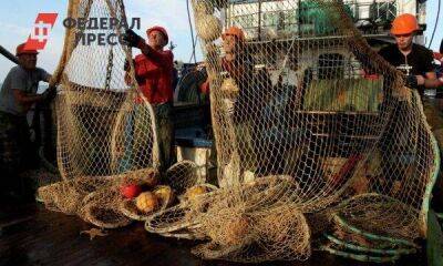 Рыбный ряд: что влияет на цены и какая рыба самая доступная в России