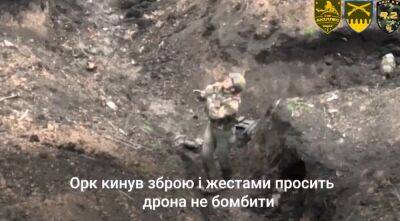 Милосердие харьковских воинов на 9 мая: оккупант сдался в плен дрону (видео)