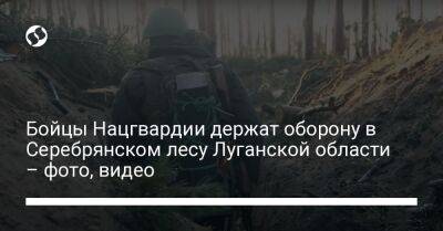 Бойцы Нацгвардии держат оборону в Серебрянском лесу Луганской области – фото, видео