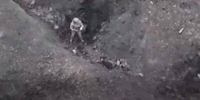 «Милосердие от ВСУ». В Бахмуте украинские военные взяли в плен оккупанта с помощью ударного дрона — видео