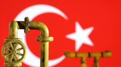 Турция отложила выплату 600 миллионов долларов России за газ – Reuters