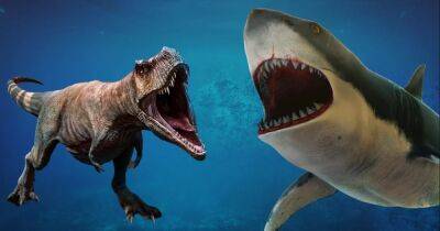 Мегалодон против T. Rex: ученые рассказали, кто победил бы в самой кровавой битве гигантов Земли - focus.ua - Украина - Антарктида