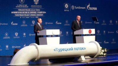 Турция сможет не платить за российский газ до 2024 года