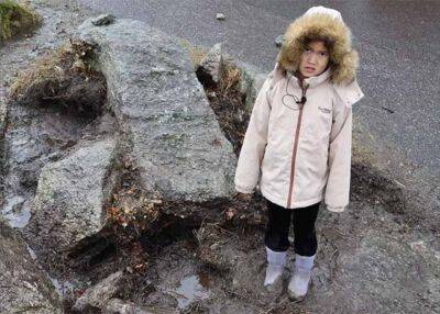 В Норвегии обнаружили каменный кинжал из Дании, которому 3700 лет – фото