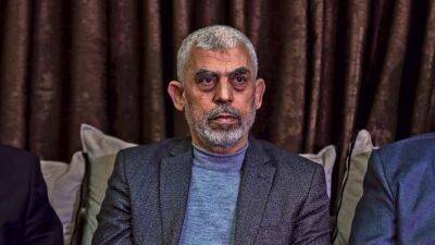 "Щит и стрела": почему ХАМАС не принимает участия в боевых действиях
