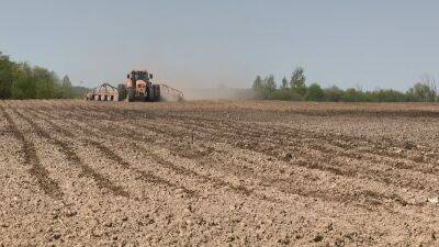 Сельхозорганизации Беларуси завершают сев яровых