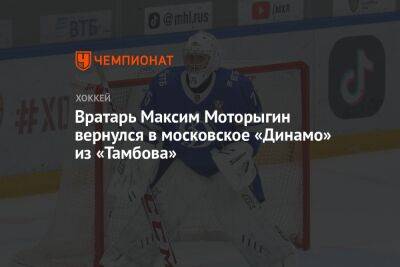 Вратарь Максим Моторыгин вернулся в московское «Динамо» из «Тамбова»