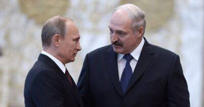 Зачем Путину травить Лукашенко. Две причины, почему Кремль мог невзлюбить главу Беларуси