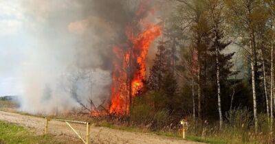 "Спасатели не могут потушить": в Эстонии на полигоне вспыхнул масштабный пожар (фото)