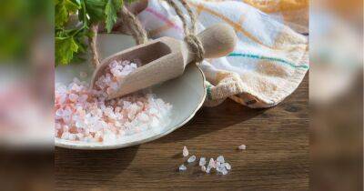 Отпугивайте муравьев: необычные способы использования поваренной соли в саду