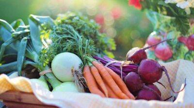Осенью цены на овощи «борщевого набора» стабилизируются – Минагрополитики