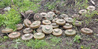 Украинские военные показали мусор и боеприпасы, которые оккупанты бросили во время бегства с позиций под Бахмутом