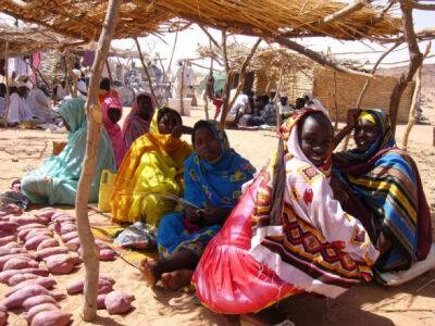 Вооруженное нападение на село в Чаде - погибли 16 человек и младенец