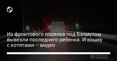 Из фронтового поселка под Бахмутом вывезли последнего ребенка. И кошку с котятами – видео