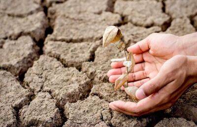 В Испании арестованы 26 человек за несанкционированное использование воды на фоне длительной засухи