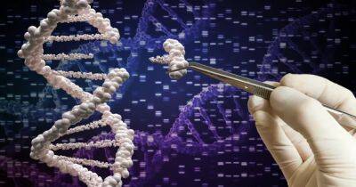 Прорыв генетического редактирования CRISPR: ученые отказались от вирусов за ненадобностью - focus.ua - Украина