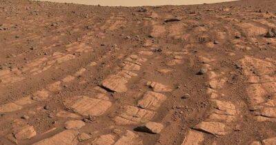 Марсоход Perseverance впервые обнаружил следы мощных потоков воды на Марсе (фото)