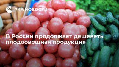 Росстат снова зафиксировал снижение цен на плодоовощную продукцию за период с 3 по 10 мая