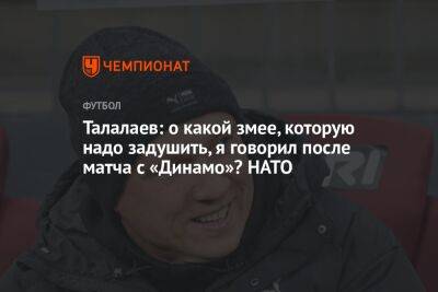 Талалаев: о какой змее, которую надо задушить, я говорил после матча с «Динамо»? НАТО