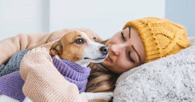 Уменьшить риск смерти. Как собака помогает человеку улучшить здоровье и забыть о хворях - focus.ua - Украина