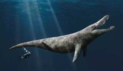 В Британии случайно нашли останки гигантского плезиозавра - фото