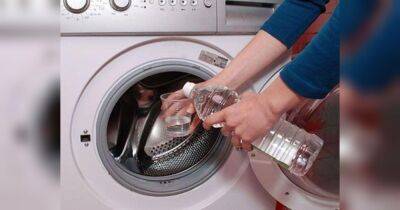 Покажите ей, что вы ее любите: какой регулярный уход нужен стиральной машине, чтобы она прослужила 30 лет