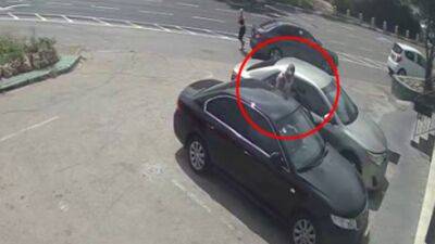 Видео: вице-мэра Хайфы избили на парковке возле ресторана - vesty.co.il - Израиль - Тель-Авив - Иерусалим - Хайфы