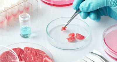 Разработан новый механизм создания искусственного мяса
