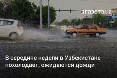 В середине недели в Узбекистане похолодает, ожидаются дожди