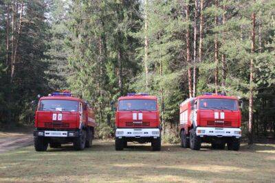 МЧС предупреждает о выскокой пожарной опасности в Тверской области
