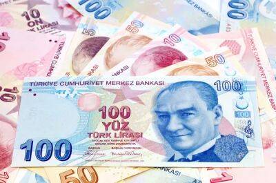 Курс турецкой лиры упал до двухмесячного минимума