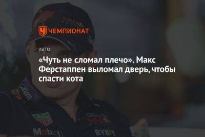 «Чуть не сломал плечо». Макс Ферстаппен выломал дверь, чтобы спасти кота