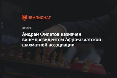 Андрей Филатов назначен вице-президентом Афро-азиатской шахматной ассоциации