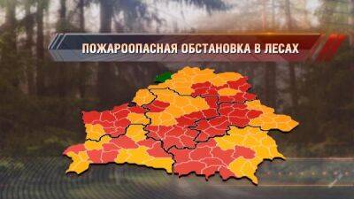 В Беларуси сохраняется пожароопасная ситуация в лесах