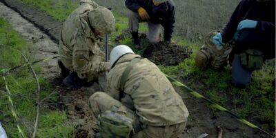 «Остаются лишь кости». Поисковая группа Черный Тюльпан, эксгумирующая останки тел солдат, показала свою работу на Донбассе