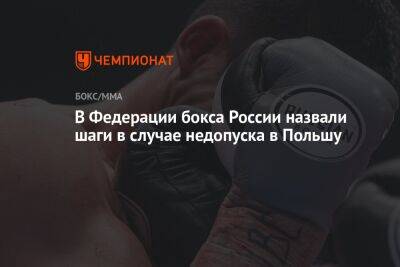 В Федерации бокса России назвали шаги в случае недопуска в Польшу