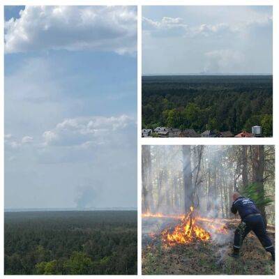 Лесной пожар под Киевом - загорелся лес и сухая трава - фото и видео