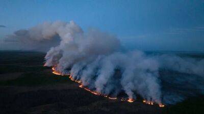 Масштабные лесные пожары в Канаде: горит провинция Британская Колумбия