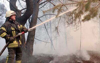 В Киевской области горит 15 га лесной подстилки