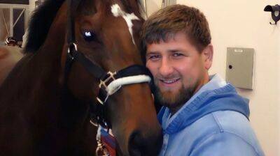 Кадыров заявил, что украинские спецслужбы украли для него коня